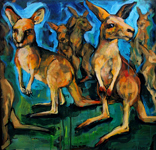 kangaroos