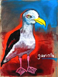 gaviato