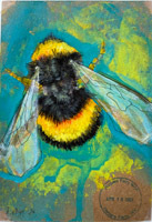 bee