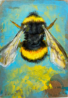 bee