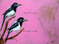 magpies