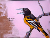 oriole