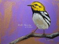 warbler